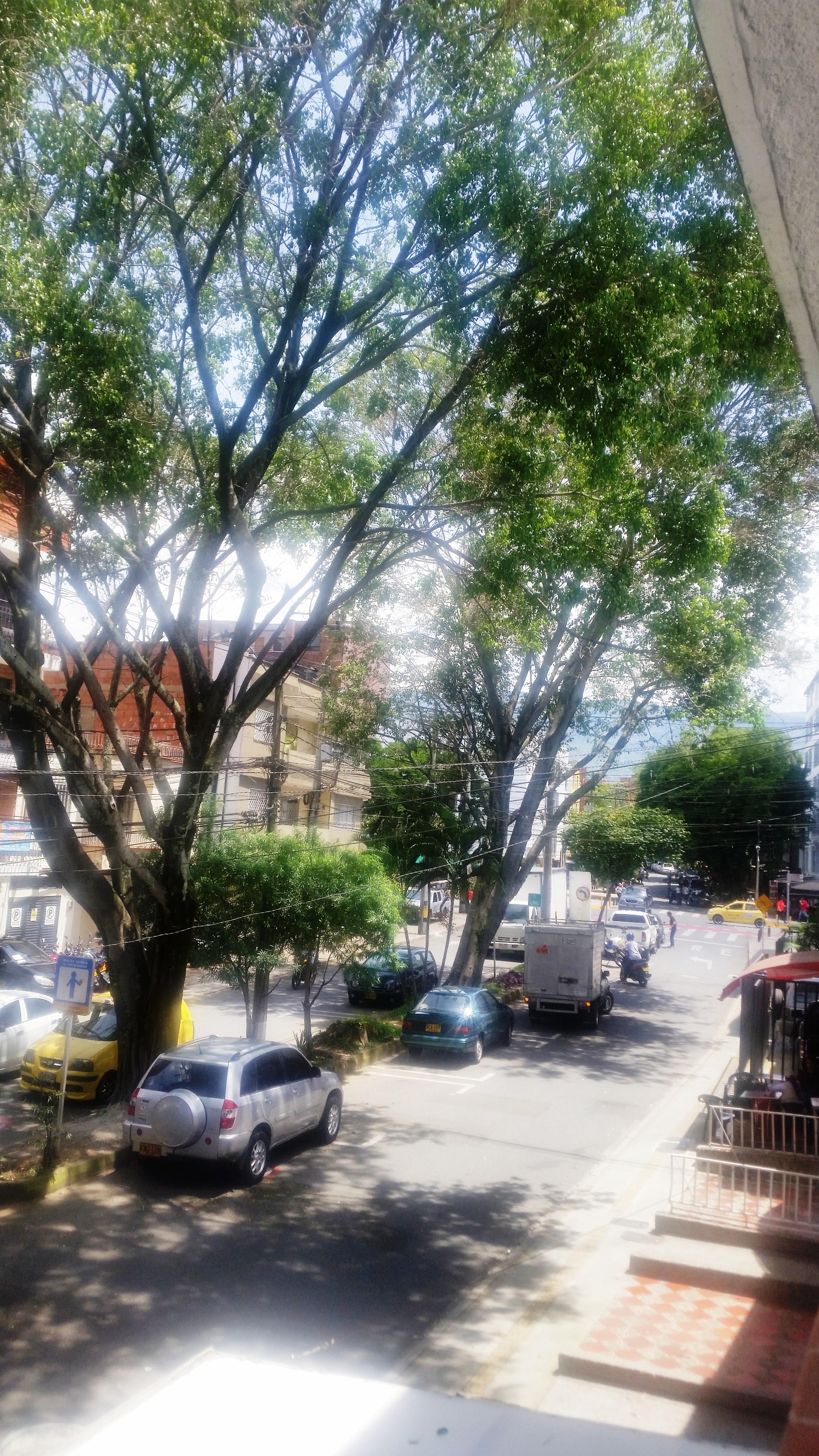 Hotel Quinta Avenida Medellín Exterior foto